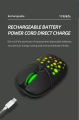 Rechargeable RGB Gaming Mouse R8 1717 - Wireless Multi-Color LED Mouse - mit. 