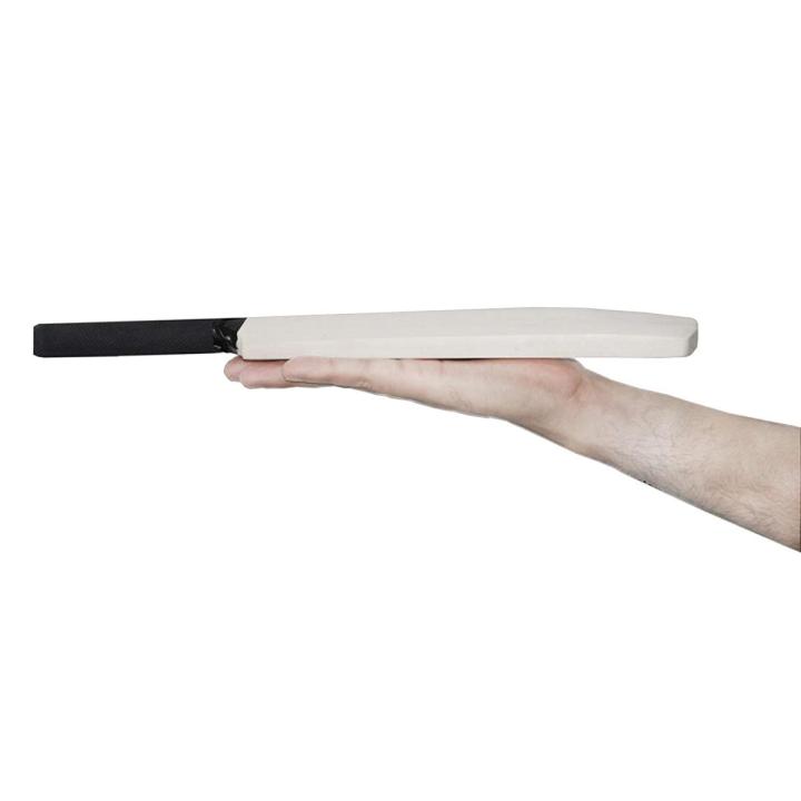 Signature Bat Mini Cricket Bat Miniature Autograph Bat -Kids Bat