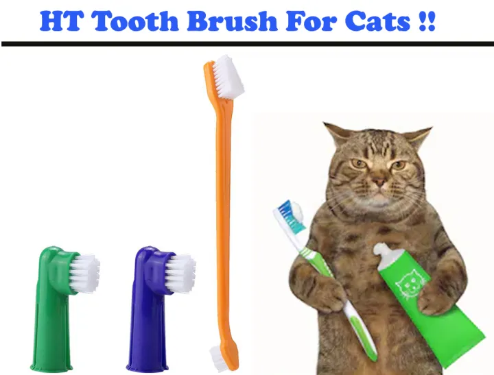 Tooth%20Brush%20for%20Cats%20&%20Dogs%20-%20Image%202