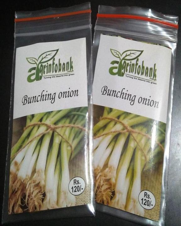 Bunching%20Onions%20-%20Image%204