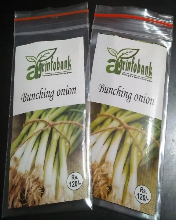 Bunching%20Onions%20-%20Image%204