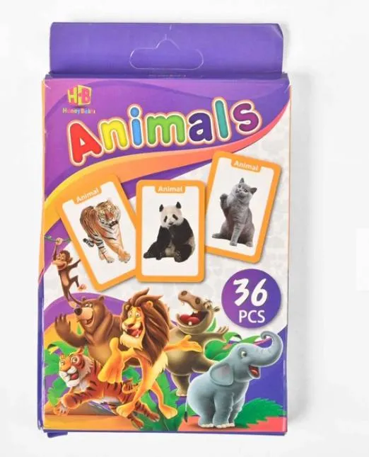 Early%20Learning%20Educational%20Teaching%20Flash%20Cards%20-%2036%20Pcs%20-%20Image%203