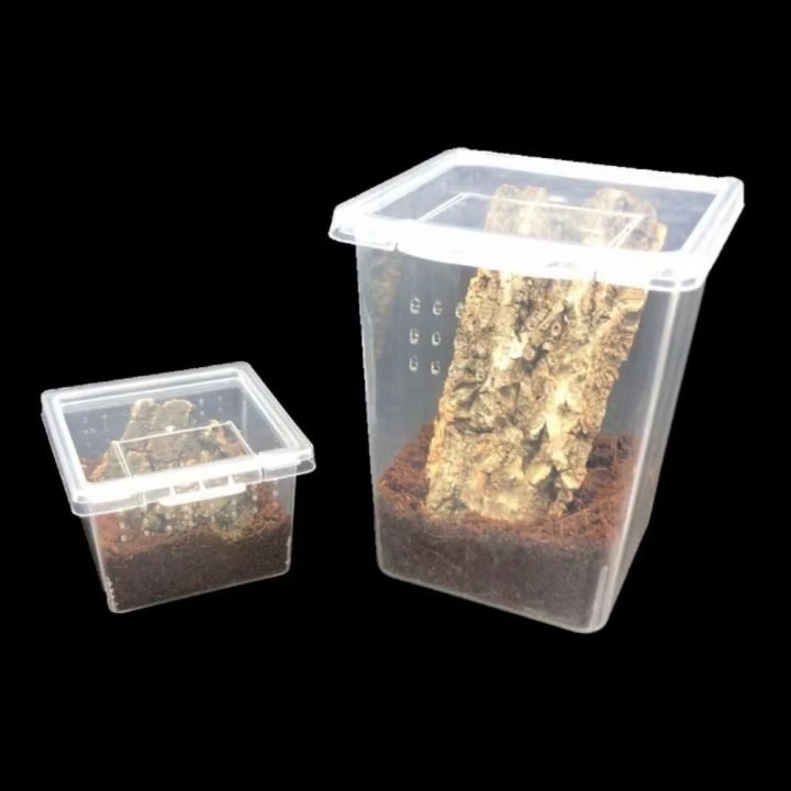 New Clear Plastic Reptile Living Box Food Feeding Insect Rearing Lizard ...