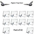 Large Pigeon Trap Loft Door (Pack Of 10) with Steel Frame (3feet) also use for ( Ground Birds & Small Animals ). 