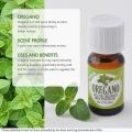 ORGANIC OREGANO ESSENTIAL OIL PAKISTAN. 