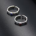 A Set Anime Howl's Moving Castle Cosplay Ring Howl and Sophie Adjustable Red Blue Crystal Rings for Women Men couple jewelry. 