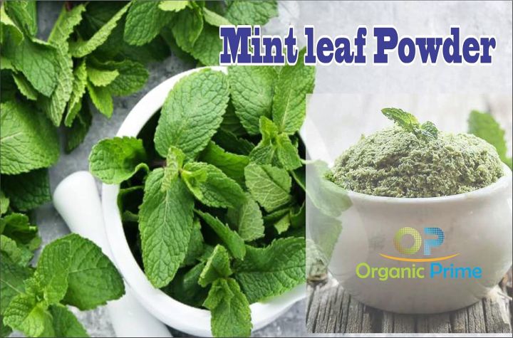 Mint%20Leaves%20Powder%20(Pudina)100%25%20Organic%20100gm%20-%20Image%203