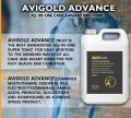AVIGOLD ADVANCE in Loose & Company Pack All-in-One Cage & Aviary Bird Tonic ( UK Aviform ) Imported multi-vitamin and all in one best product. 