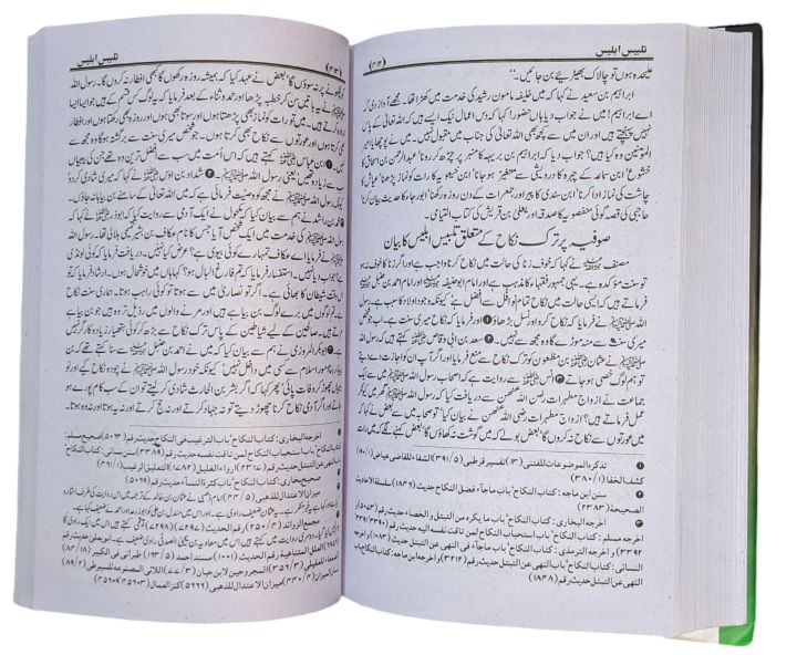 Talbees%20e%20Iblees%20Book%20by%20Ilama%20Ibn%20e%20Jozi%20-%20Image%208