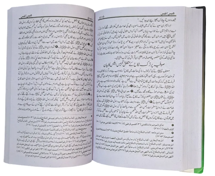 Talbees%20e%20Iblees%20Book%20by%20Ilama%20Ibn%20e%20Jozi%20-%20Image%208