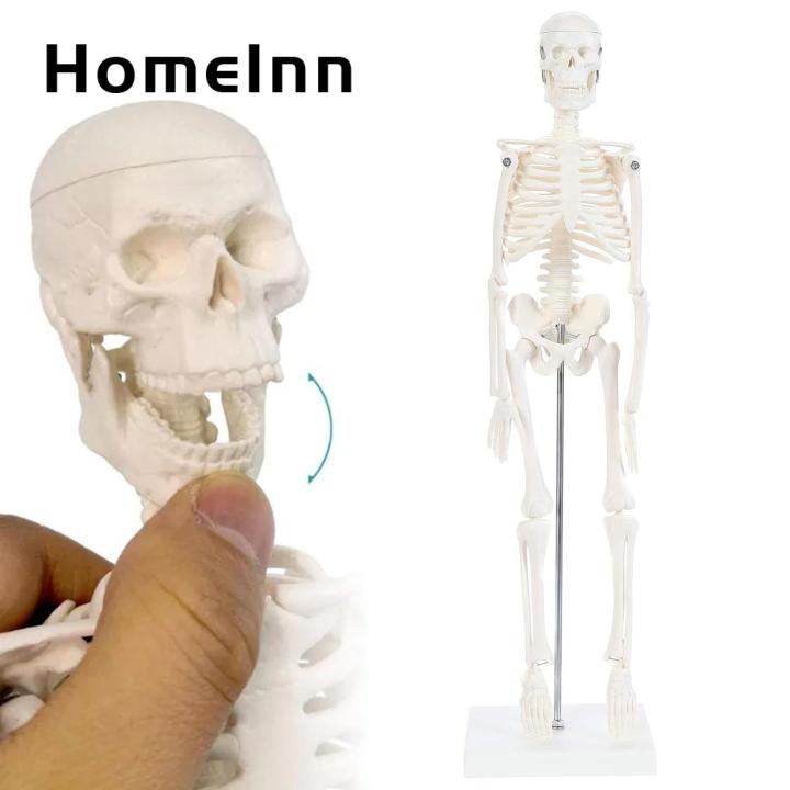 Flexible Jointed Mini Skeleton Realistic Mini Human Skeleton Model for Study Decoration Perfect Halloween Gift