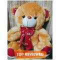 Teddy Bear Stuff Toy (Large Size,20 inches)Music also. 