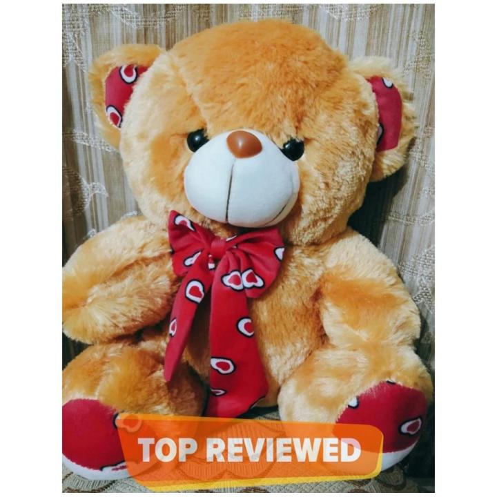 Teddy Bear Stuff Toy (Large Size,20 inches)Music also