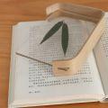 6-inch Original Wood Color Acrylic Photo Frame Transparent Solid Wooden Desktop Ornaments Herbarium Display DIY Gifts Home Decor. 