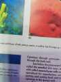 Zoology 5th Edition By Miller and Harley. 