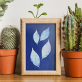 Sun Print Paper Kit Cyanotype Paper 32 Sheets Cyanotype Paper With 2 Sheet Acrylic Panel Green For Arts Crafts DIY Project. 