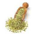FENNL SEEDS (SAUNF)  100 gram. 