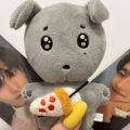 Kpop Idol SEVENTEEN DK Lee Seok Min Plush Doll Keyring Cement Dog with Pizza Bag. 