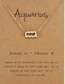 Aquarius Female Elegant Star Zodiac Sign 12 Constellation Necklaces  Pendant Charm Gold Chain Choker Necklaces for Women Jewelry Cardboard. 