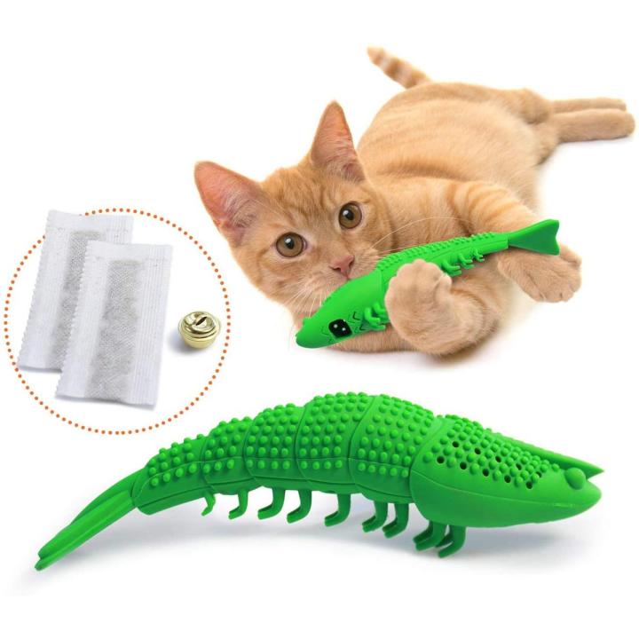 Cat and toothbrush best sale