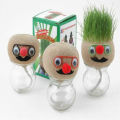 Grass Head Doll Educational Toys For Kids -Small Potted Ornaments with Cultivation Medium Toys For Girls - Mini Grasshead Hair Grow Toy Gardening Decoration items. 