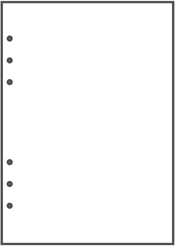 A5%20Blank%20Paper%206-Holes%20Punched,%20100%20Sheets%20(200%20Pages),%20100%20gm,%20Binder%20Paper-Ring%20Hole%20Punch%20Blank%20Refill%20Paper-Printing%20Paper%20-%20Image%2010