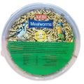 MEAL WORMS DRIED LARVEA 50GM FOR ALL TYPE OF BIRDS-FISHES & TURTLES. 