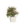 3 pc artificial plant for decoration in home - office - school - college. 