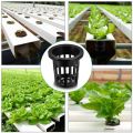 NANLIY- 100 Pack 1.77 Inch Net Cups Slotted Mesh Wide Lip Filter Plant Net Pot Bucket Basket for Hydroponics Aquaponics Orchids. 