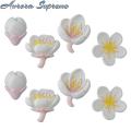 Cute Refrigerator Magnet 8pcs 3d Flower Refrigerator Magnet Set Charming Resin Floral Fridge Magnets for Home Decor Style. 