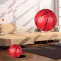 Indoor Basketball Hoop Wall Mounted Basketball Board for Preschool Teens. 