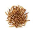 Worms for birds, Dry worm | 100g | pure organic for bird | finches | hens and hamster. 
