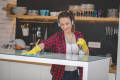 Good Morning Glass Cleaner Pro Anti Dust Extra Shine Lemon Fragrance 500 ml Spray Bottle. 