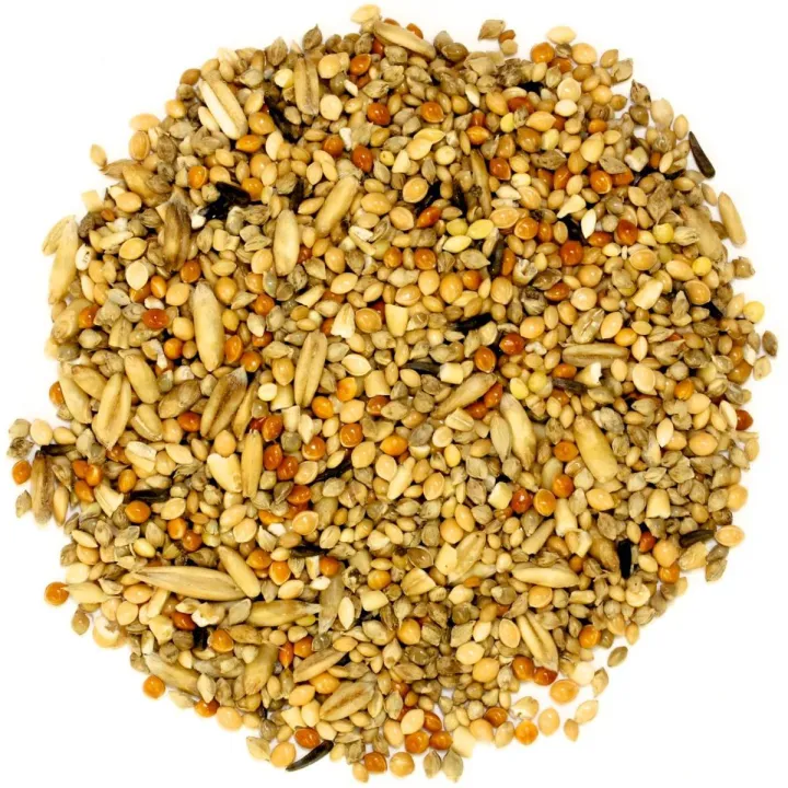 (pack%20of%201%20kg)%20Mix%20bird%20food%20feed%20seed%20for%20small%20budgies%20love%20birds%20%7C%20chirya%20ka%20dana%20%7C%20sparrow%20%20%7C%20bajra%20and%20sunflower%20seeds%20mix%20%7C%20totay%20and%20parrots%20eat%20food%20-%20Image%202