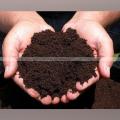 1kg press mud of sugar cane frsh and pure organic fertilizer. 