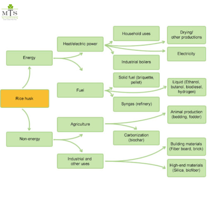 Rice%20Husk%20for%20Plants%20%E2%80%93%20Organic%20Mulching%20Material,%20Soil%20Conditioner,%20and%20Plant%20Growth%20Booster%20%7C%20Eco-Friendly%20Gardening%20Solution%20for%20Healthy%20Plants%20-%20Image%203