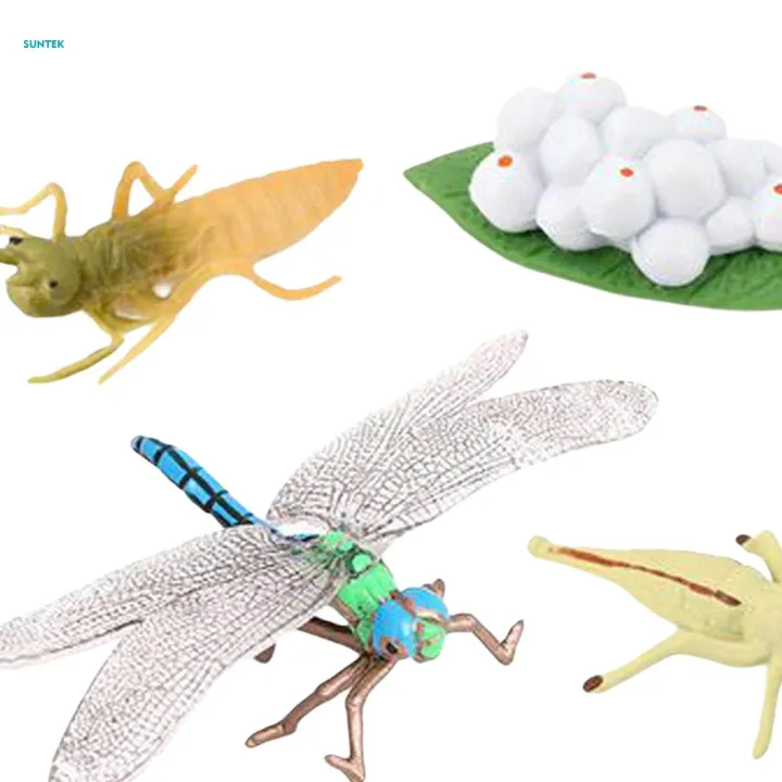 Life%20Cycle%20Figurines%20Toy%20Dragonfly%20Figures%20Red%20Eyed%20Tree%20Frog%20Figures%20for%20Desktop%20Decoration%20-%20Image%206