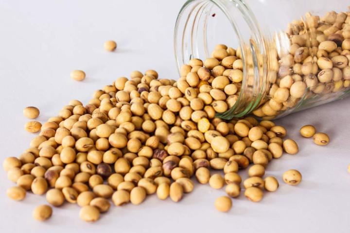 Organic%20Soya%20Beans%201%20Kg%20-%20Image%203