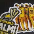 25pcs PSL CRICKET sticker pack for cricket psl pakistani sports event tournament babar azam asif ali harris rovman powell. 