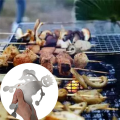 Roasting Stick,Stainless Steel Hot Dog Sticks for Campfire, Funny Fire Pit Tools for Camping,Novelty Barbecue Tools. 