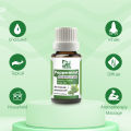 Bio Shop™ Set of 3 Essential Oils Aromatherapy Essential Oil -  Lavender, Rosemary, Peppermint 100% Pure & Natural. 