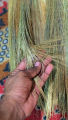 Phool Jharo (Pack Of 2) Broom Stick پھول جھاڑو Phool Jhaaru   Feather Broom Sweeper Feather Duster Long Lasting Buy Stick Phool Jharo  In Very Low Price. 
