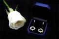 CHARSLAN star, Gold color, Ear Rings, For Women, Code 0133F. 