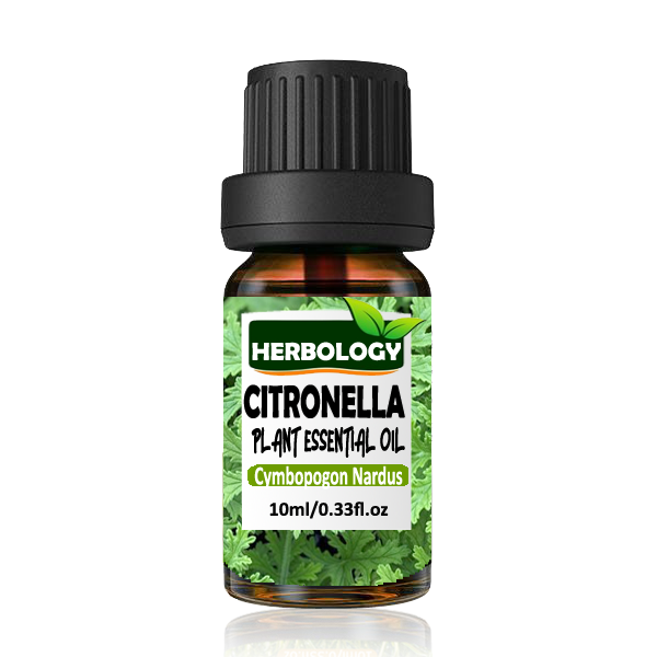 Herbology Citronella Aromatherapy Essential Oil 100% Pure Therapeutic Grade, Steam Distilled, 100% Pure, Vegan, Aromatherapy, Diffuser, Ceramic Diffuser, Pure, Concentrated, EO, Aroma Diffuser