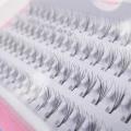60 Stand Individual False Eyelashes Corner Flare Cluster Lashes Beauty Tools. 
