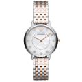 Emporio Armani AR2508 Stainless Steel Wrist Watch For Girls / Watch For Women. 