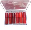 6/8 pc Professional Matt Lip Gloss. 