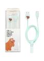ORIGINAL WE BARE BEARS MICRO USB DATA CABLE ANDROID CABLE TYPE-C. 