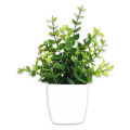 Artificial Plants Mini Potted Plant Small Greenery Decor for Indoor Home Farmhouse Aesthetic Bedroom Shelf Office Desk Bathroom Decoration. 