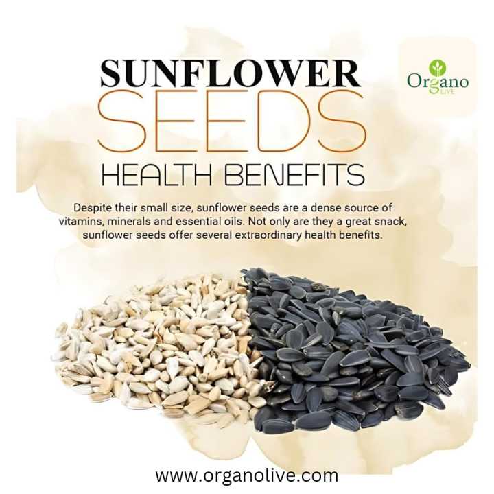 Sunflower%20seeds%20without%20shell%20200g%20and%20without%20cover%20Sunflower%20seeds%20for%20eating%20peeled%20sunflower%20seeds%20unshelled%20Suraj%20mukhi%20k%20beej%20200%20grams%20-%20Image%203